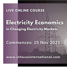 Electricity economics in changing electricity markets live online course