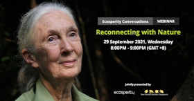 Ecosperity conversations special edition: reconnecting with nature