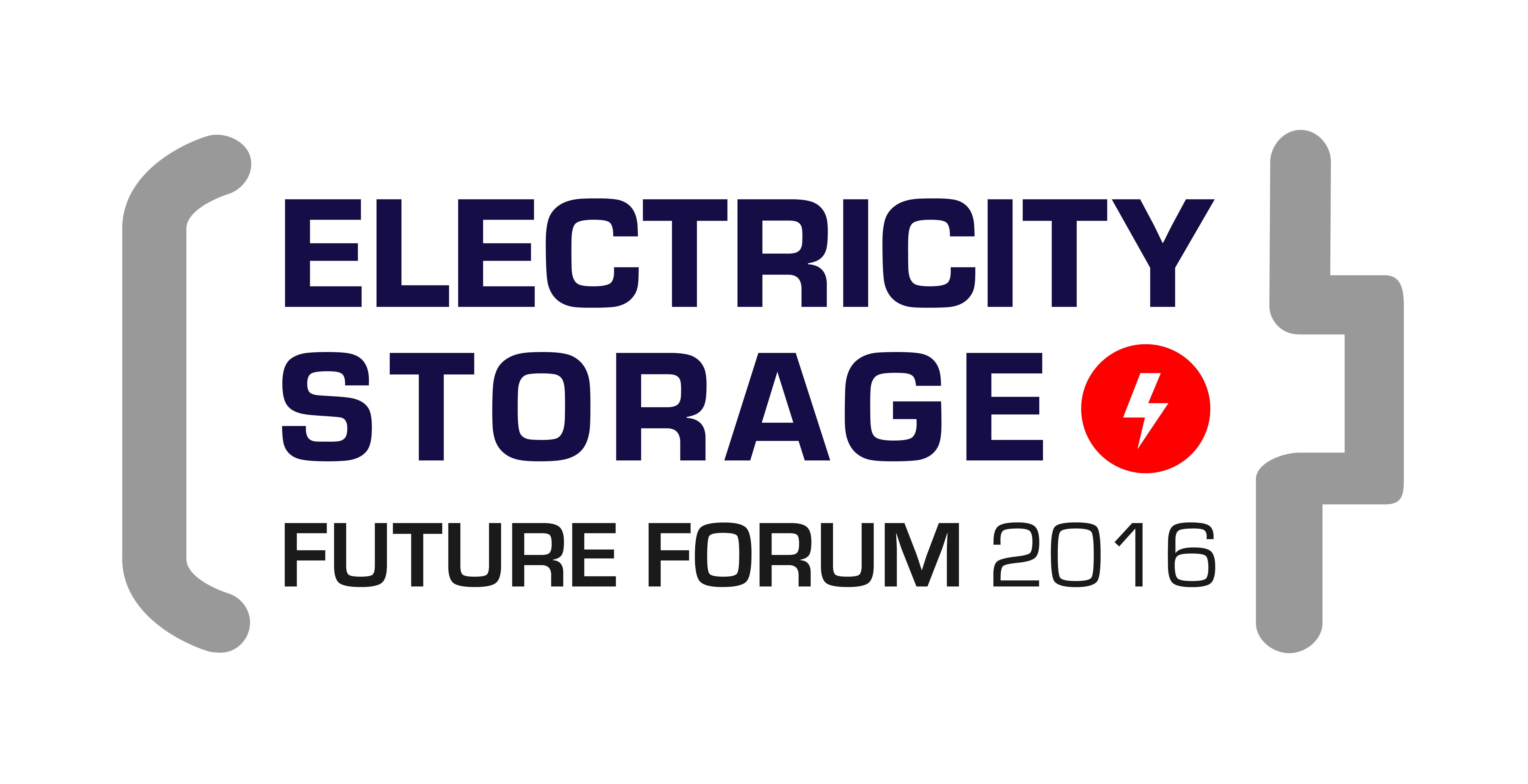 Electricity Storage Future Forum 2015