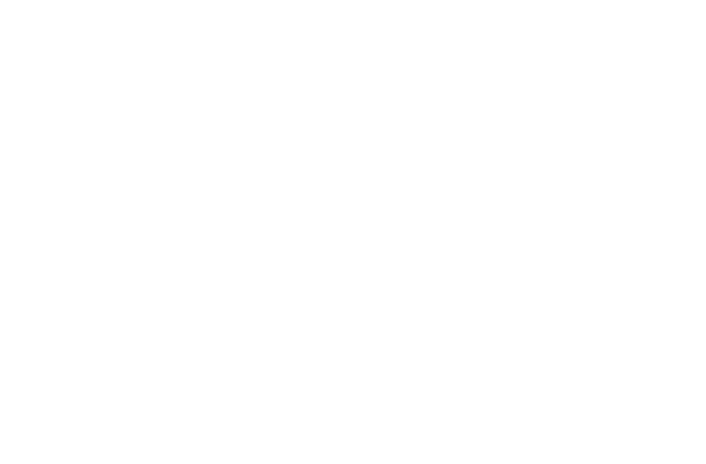 Future Forest Festival II : Roots Of Regeneration