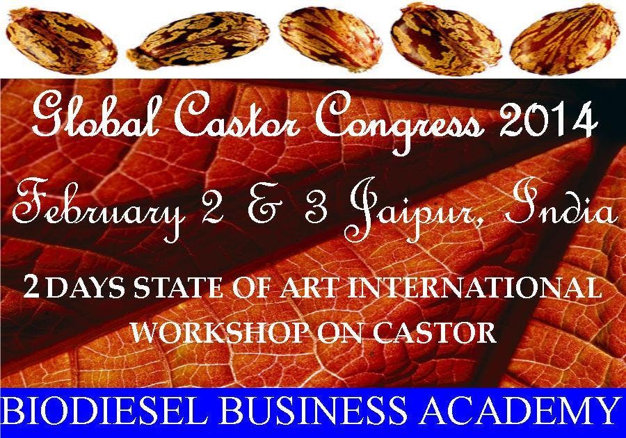 2 Days Global Castor Integrated Nonfood Biodiesel Farming & Technology Training Programme 2014