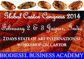 2 Days Global Castor Integrated Nonfood Biodiesel Farming & Technology Training Programme 2014