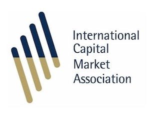 ICMA Virtual Event -  Social bonds – gaining traction