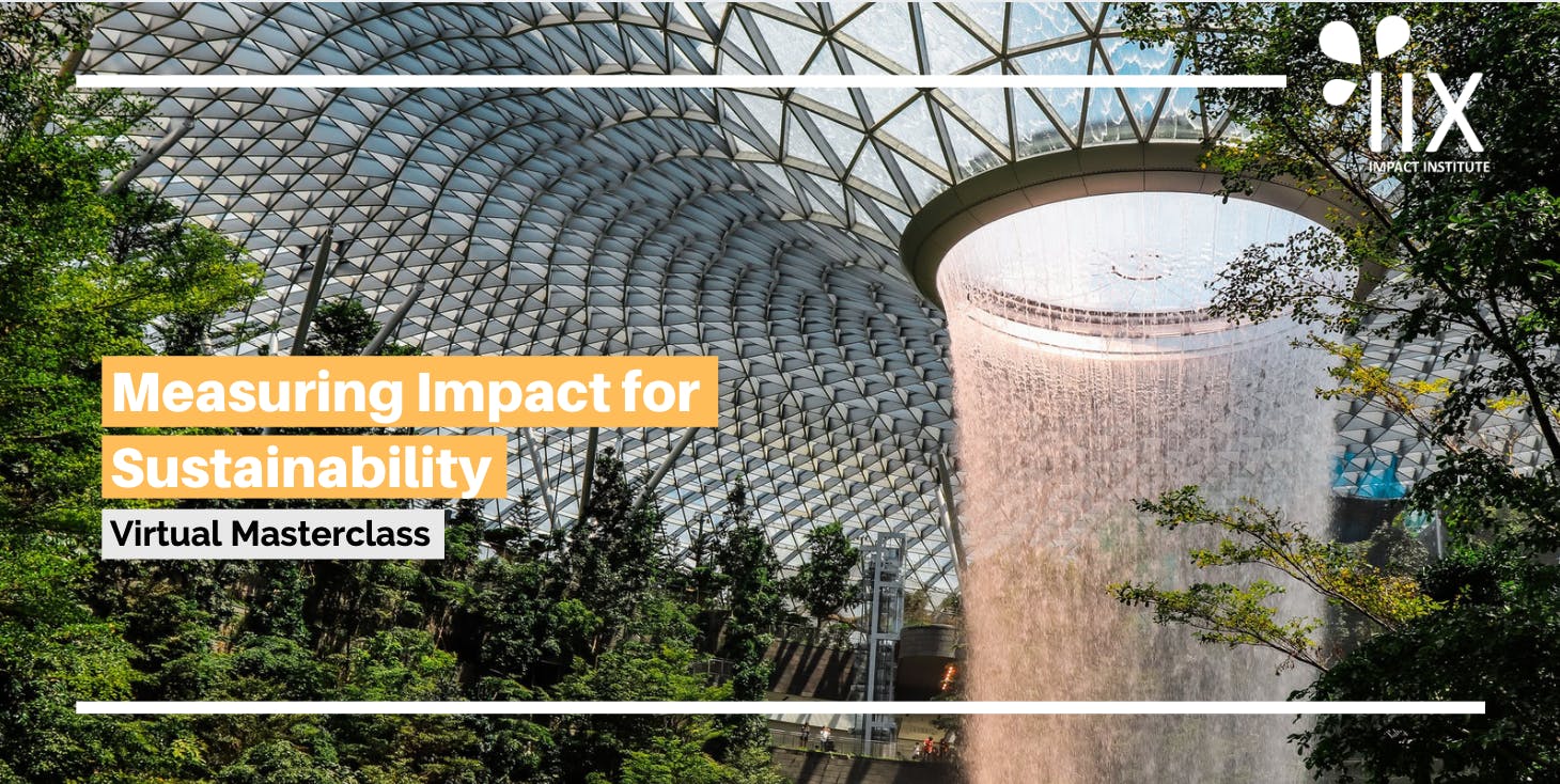 Measuring Impact for Sustainability