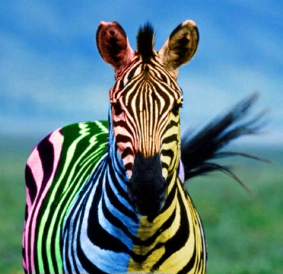 KICKASS SUSTAINABILITY STRATEGY & COMMUNICATIONS MasterClass