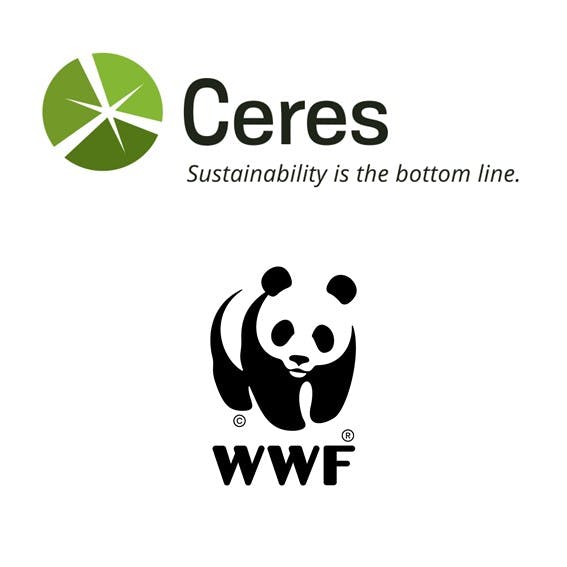 Engaging on palm oil driven deforestation