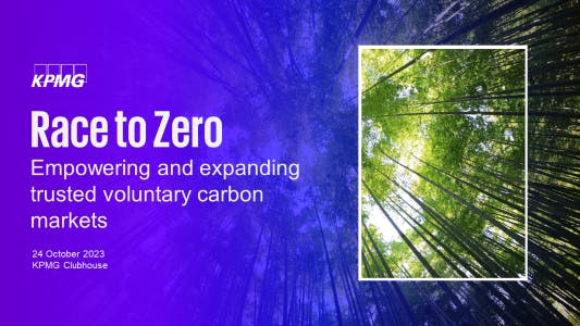 Race to Zero: Empowering and Expanding Trusted Voluntary Carbon Markets