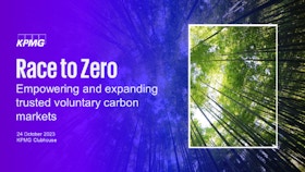 Race to Zero: Empowering and Expanding Trusted Voluntary Carbon Markets