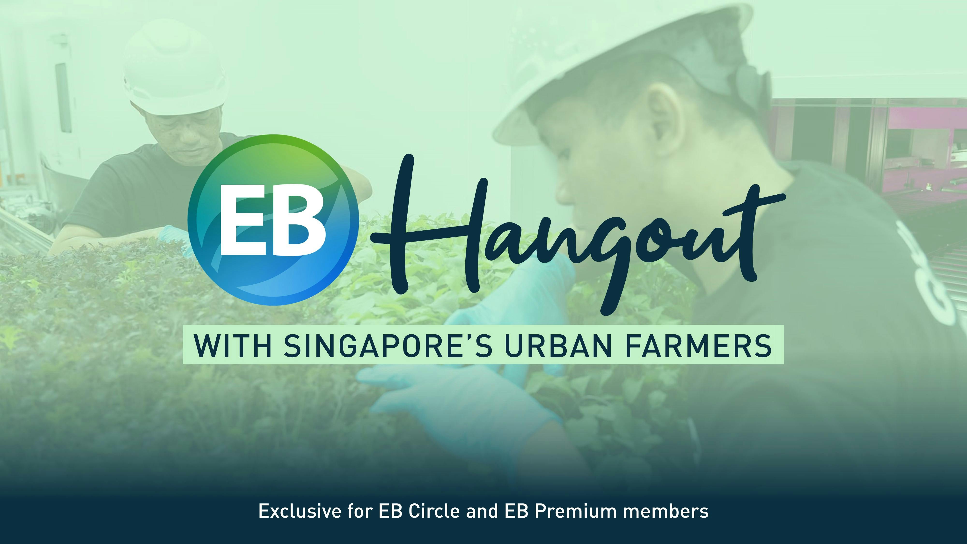 EB Hangout – with Singapore’s urban farmers
