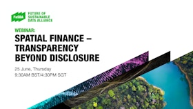 Spatial Finance - Transparency Beyond Disclosure