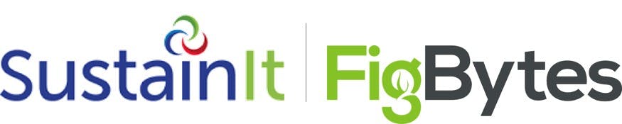 Sustainability 2.0  - Corporate Strategy, Risk and Responsibility in the age of mega-hurricanes, burning forests, scorched fields and a plasticised ocean food chain