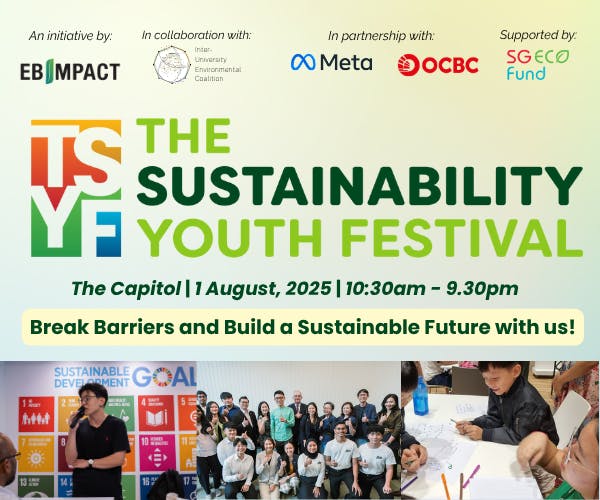 The Sustainability Youth Festival