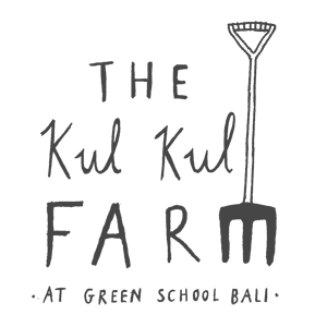 Bali Permaculture Design Course with Penny Livingston-Starke