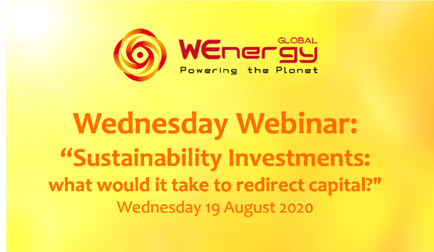 WEnergy Global Webinar “Sustainability Investments: what would it take to redirect capital?"