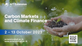 Carbon Markets and Climate Finance