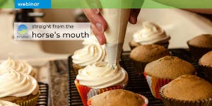 Audit & Assurance - the Icing on the Sustainability Cake - Webinar with Deloitte and thinkstep