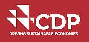 CDP Workshop: Accelerating Implementation of Sustainable Palm Oil Commitments