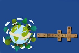Biodiversity for Business