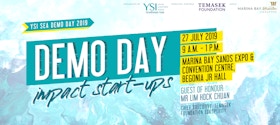 YSI SEA Demo Day 2019