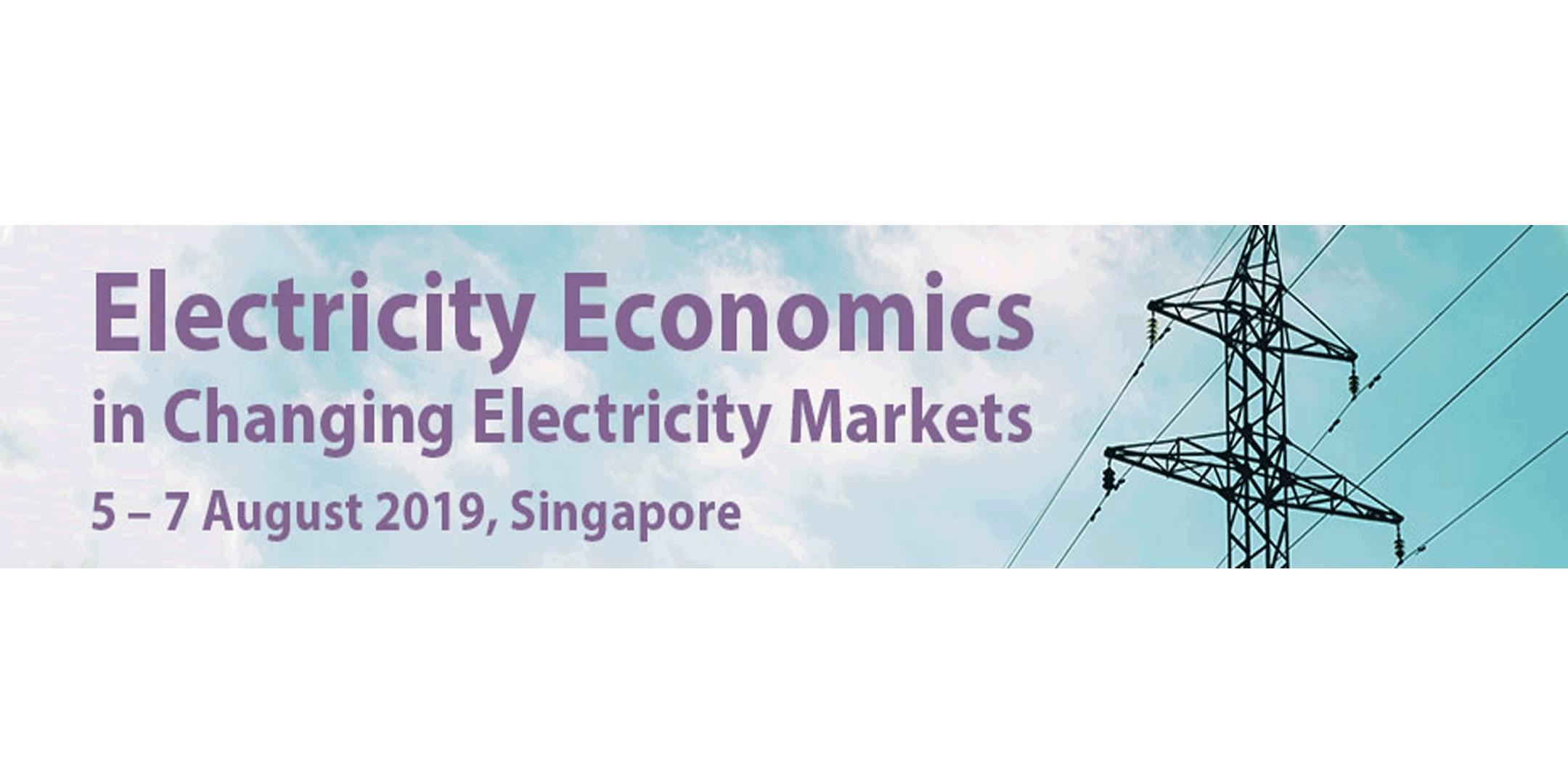 Electricity Economics in Changing Electricity Markets