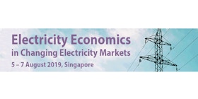 Electricity Economics in Changing Electricity Markets