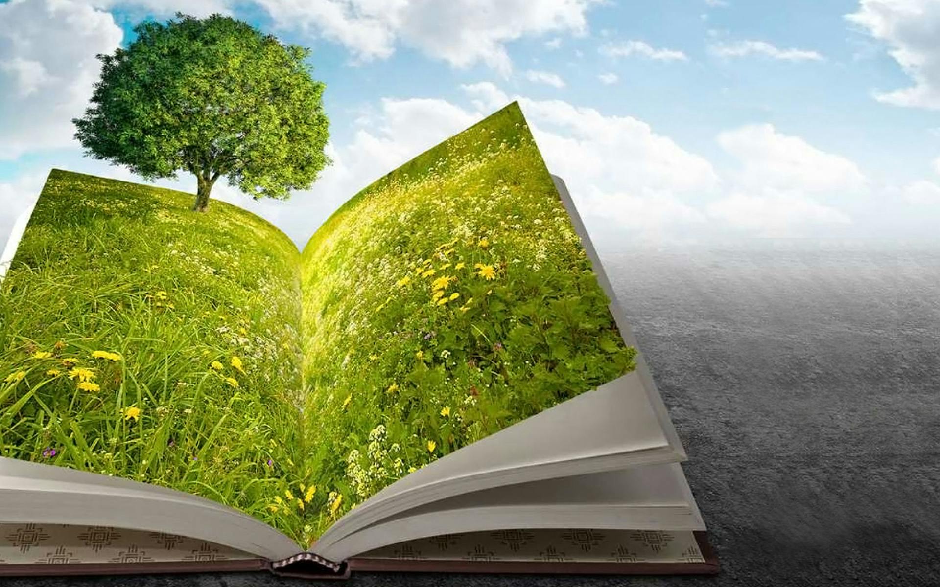 China EHS and Sustainability Summit 2015