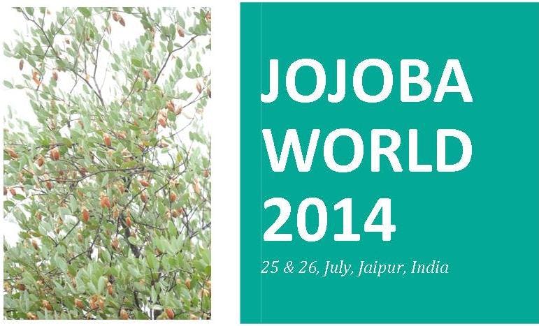 Global JOJOBAWORLD 2014