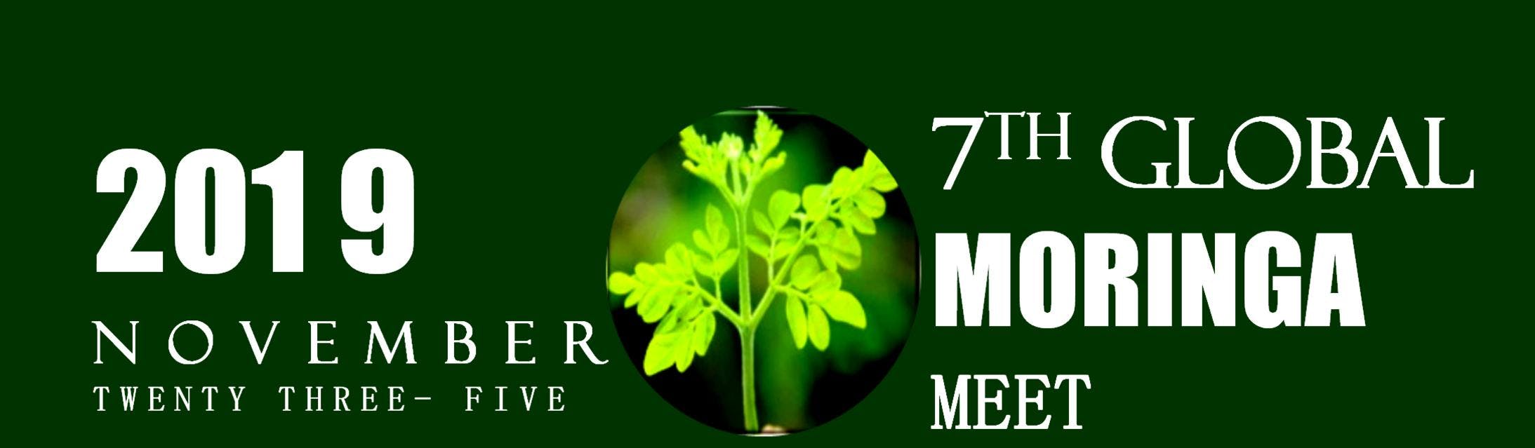 Moringa Farm Stay 2019