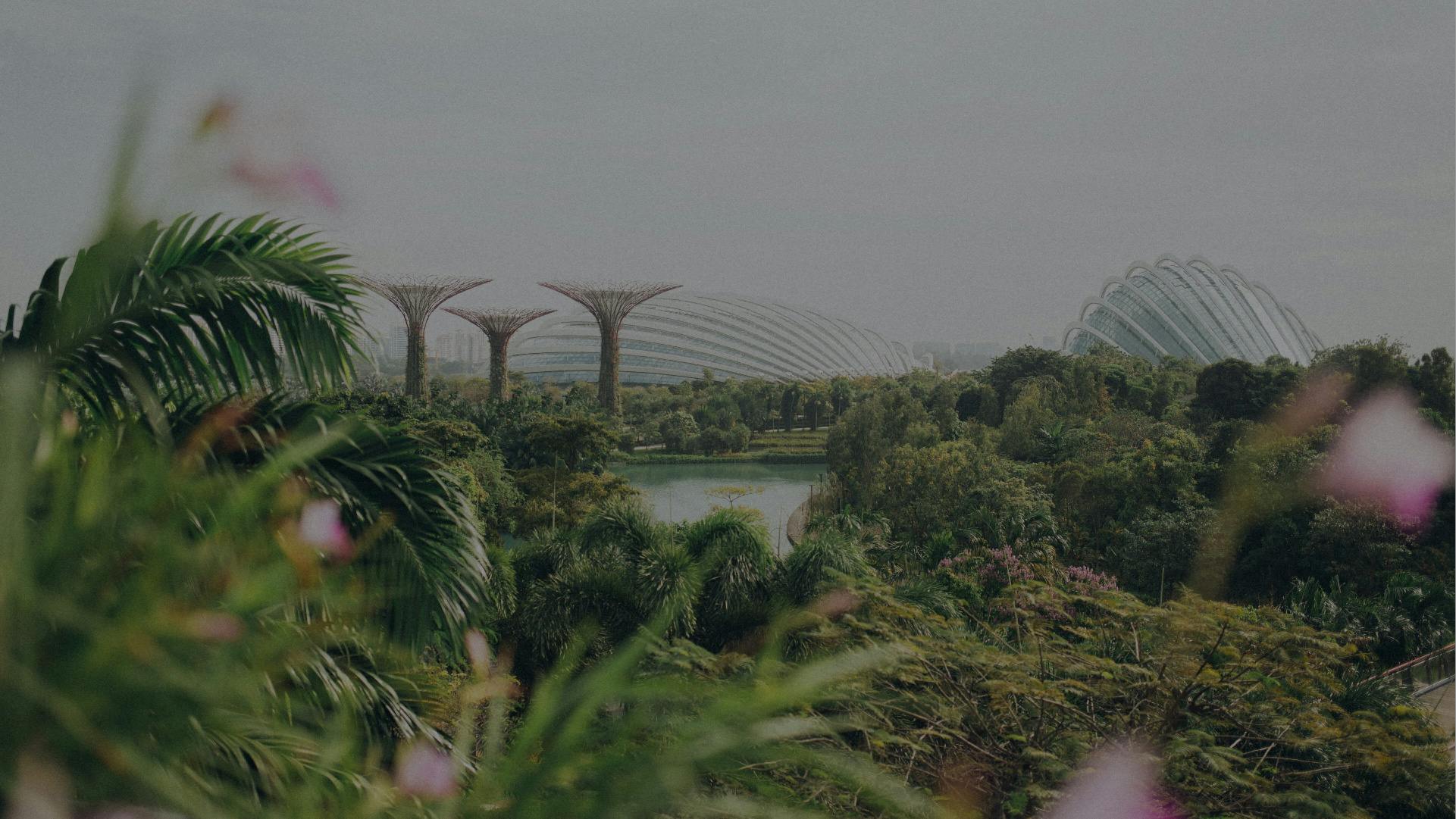 Green Jobs Platform: Launch event