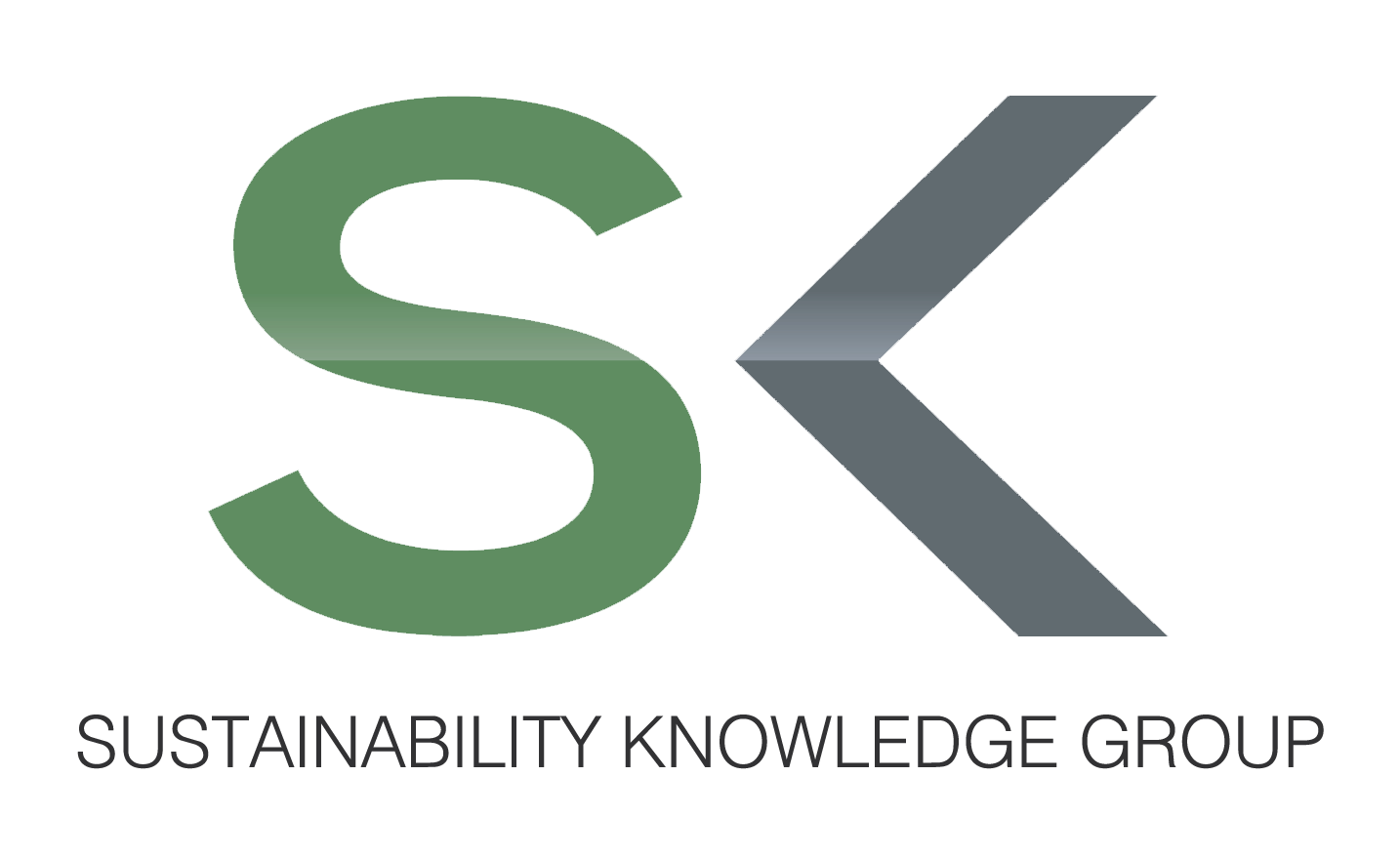 Advanced Chief Sustainability Officer (CSO) Professional, Lebanon - ILM Approved