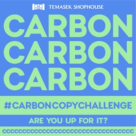 Temasek Shophouse's carbon copy challenge