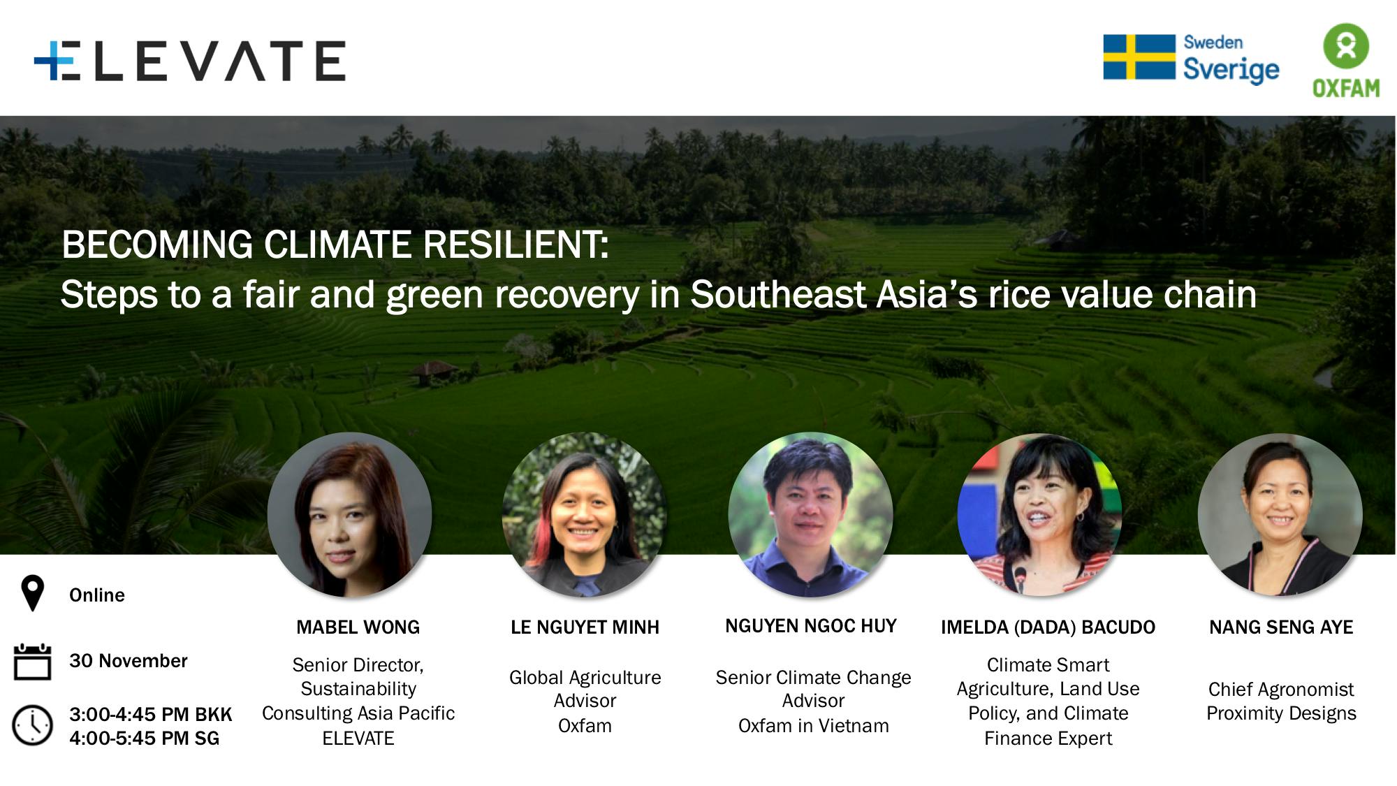 Becoming climate resilient: Steps to a fair and green recovery in Southeast Asia’s rice value chain