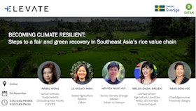Becoming climate resilient: Steps to a fair and green recovery in Southeast Asia’s rice value chain