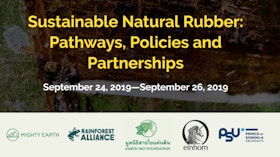 Sustainable Natural Rubber: Pathways, Policies and Partnerships
