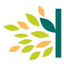 seed Spring Drinks 馬年春酒 Happy Hour!