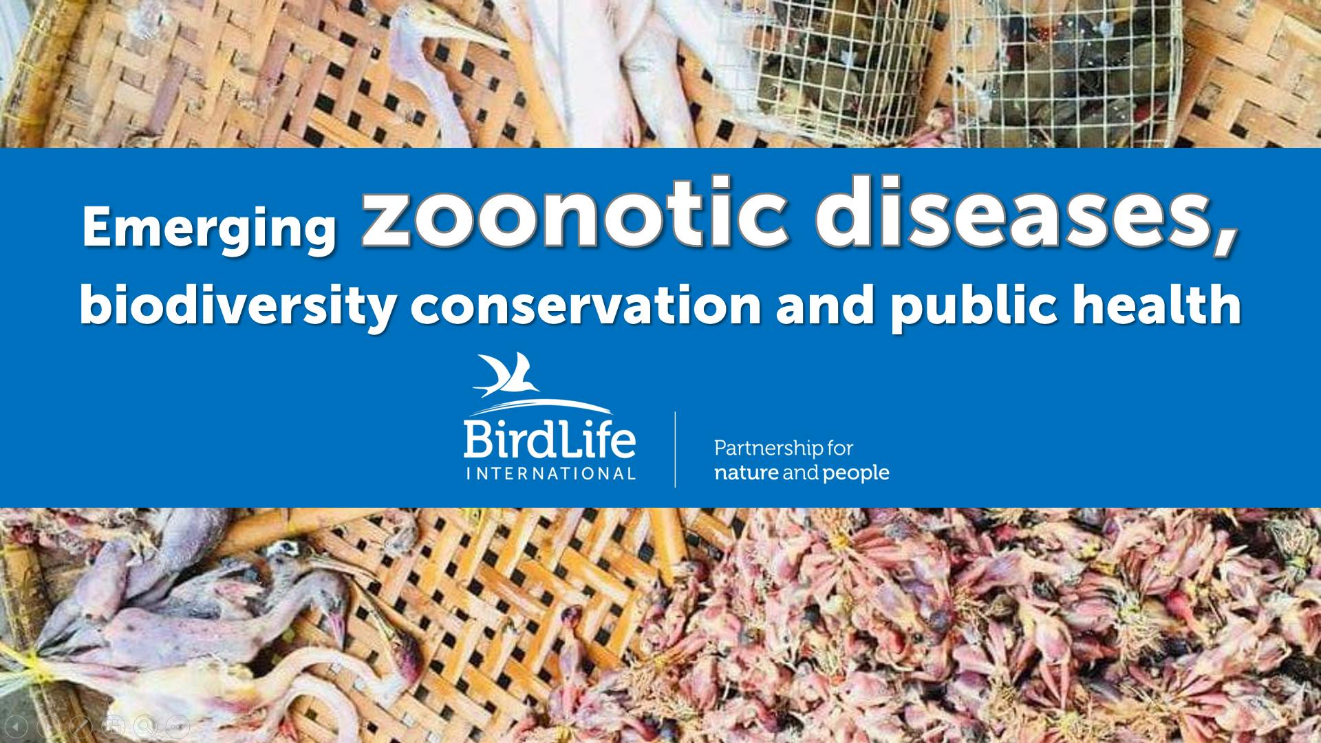 Emerging Zoonotic Diseases, biodiversity conservation and public health