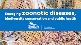 Emerging Zoonotic Diseases, biodiversity conservation and public health