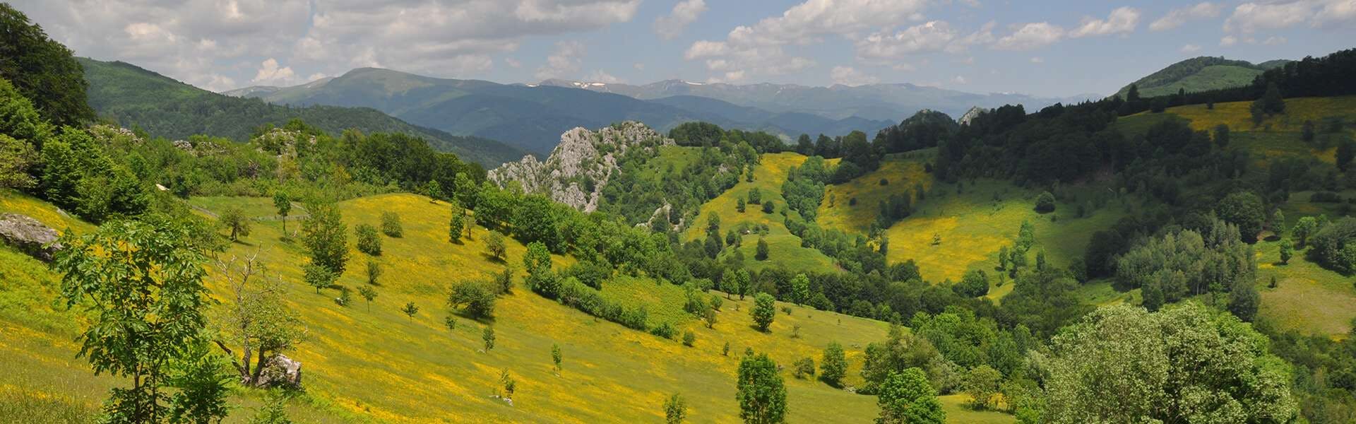 Shift to renewable energy must protect nature, says clean energy coalition