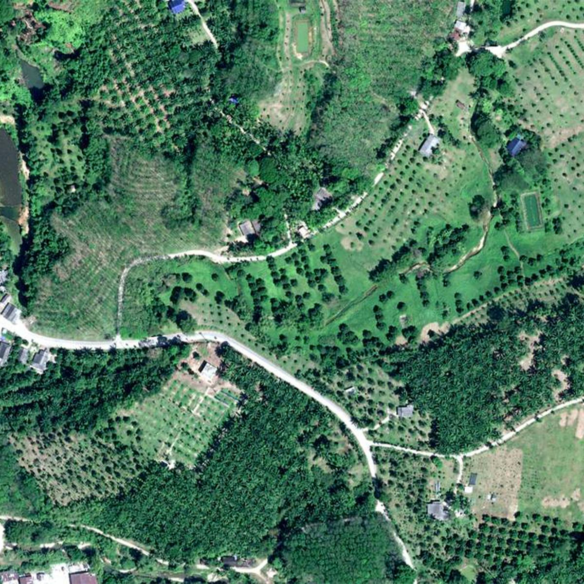 Nestlé to pilot new cutting-edge Pléiades Neo satellite imagery