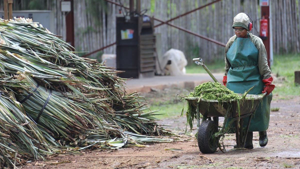 UN Trade and Development (UNCTAD)
