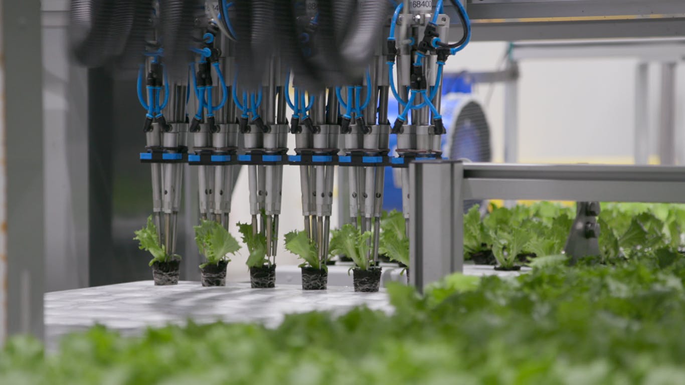 BBC Follow the Food series uncovers how agriculture is harnessing tech in attempt to secure our future