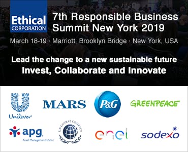 Workshop led interaction at the Responsible Business Summit New York