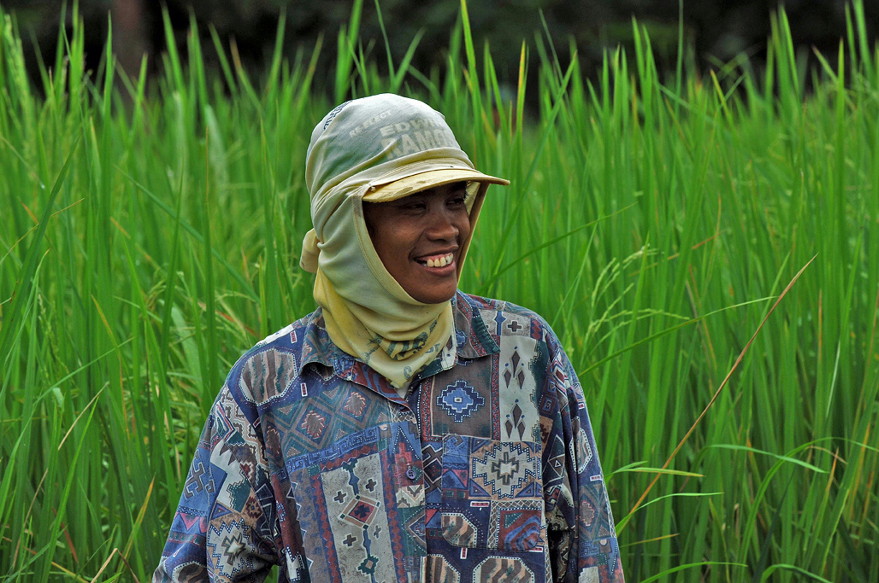 FAO, SEED launch SDG Agrifood Accelerator Programme for innovators