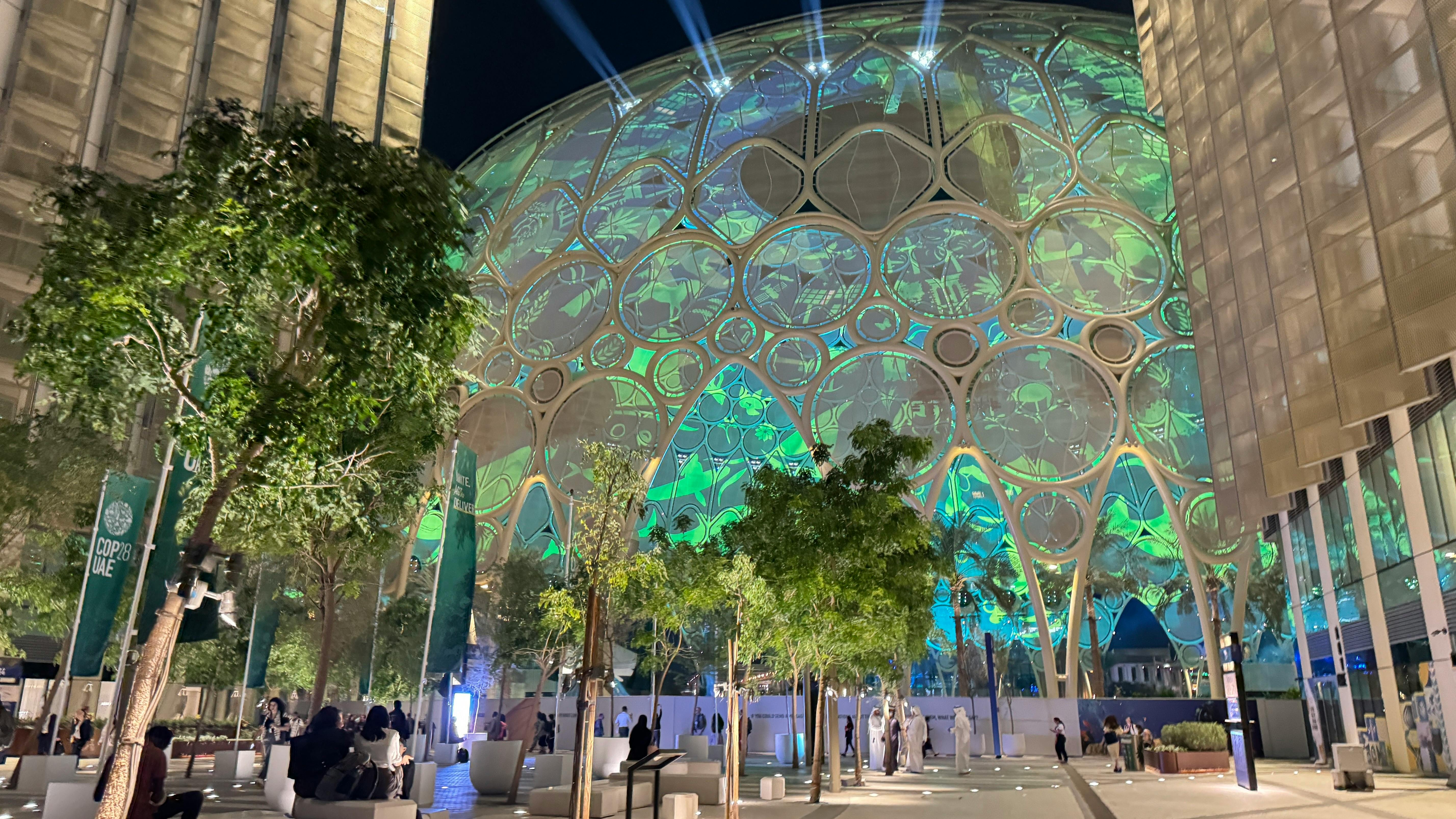 UAE Council for Climate Action reviews progress in national climate initiatives, final preparations for COP29