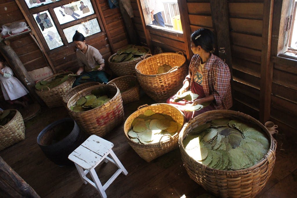 Myanmar government delays implementation of standardised tobacco packaging