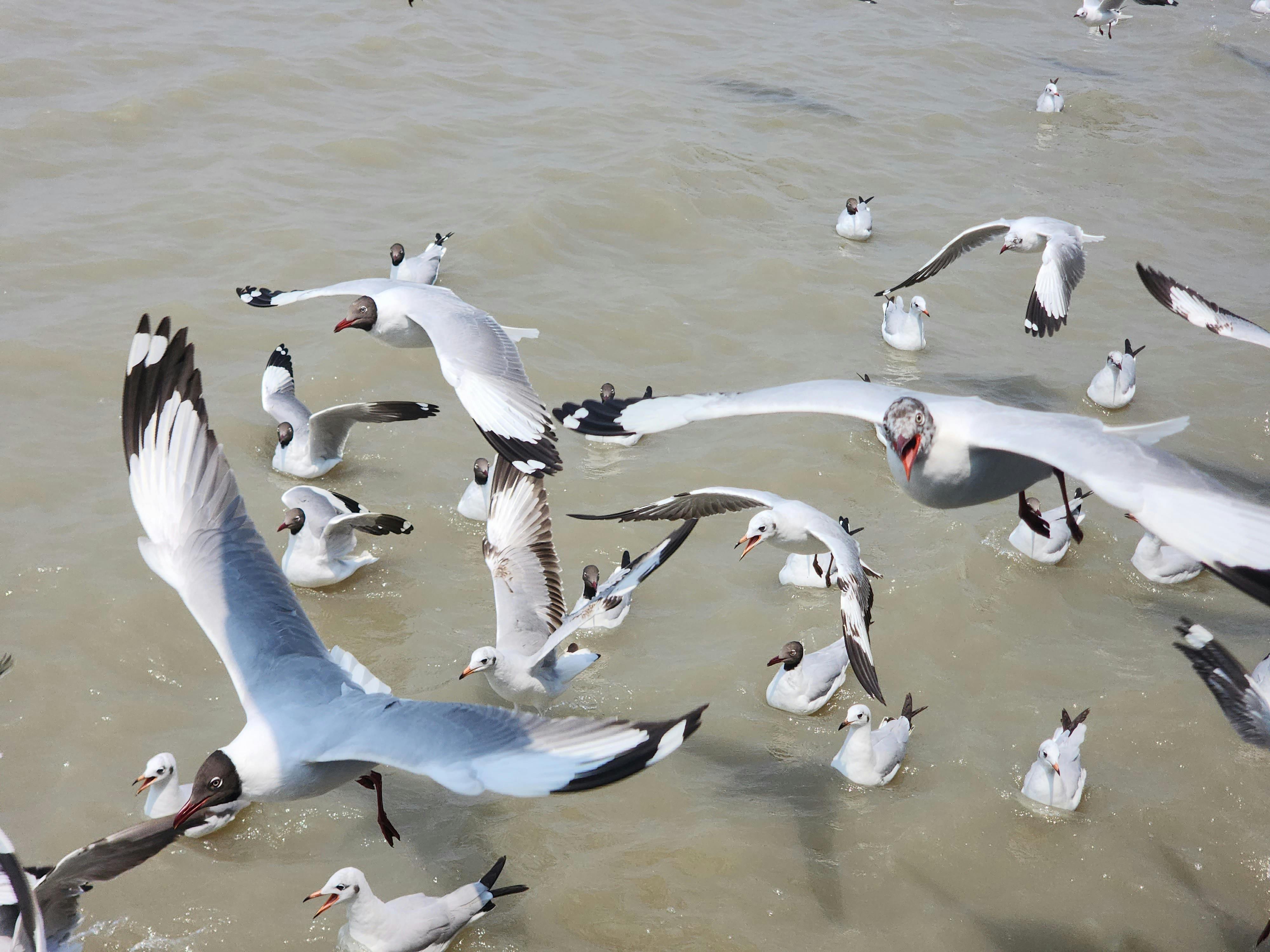 Here’s the recipe for fixing the planet, according to a landmark new report from UNEP