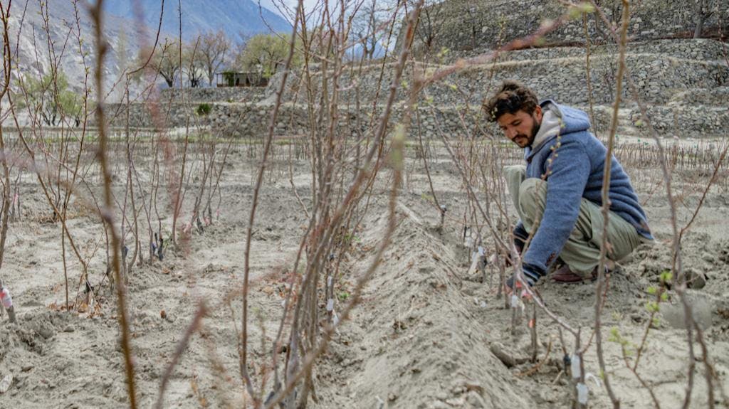 Climate change could reduce GDP in developing Asia and the Pacific by 17% by 2070