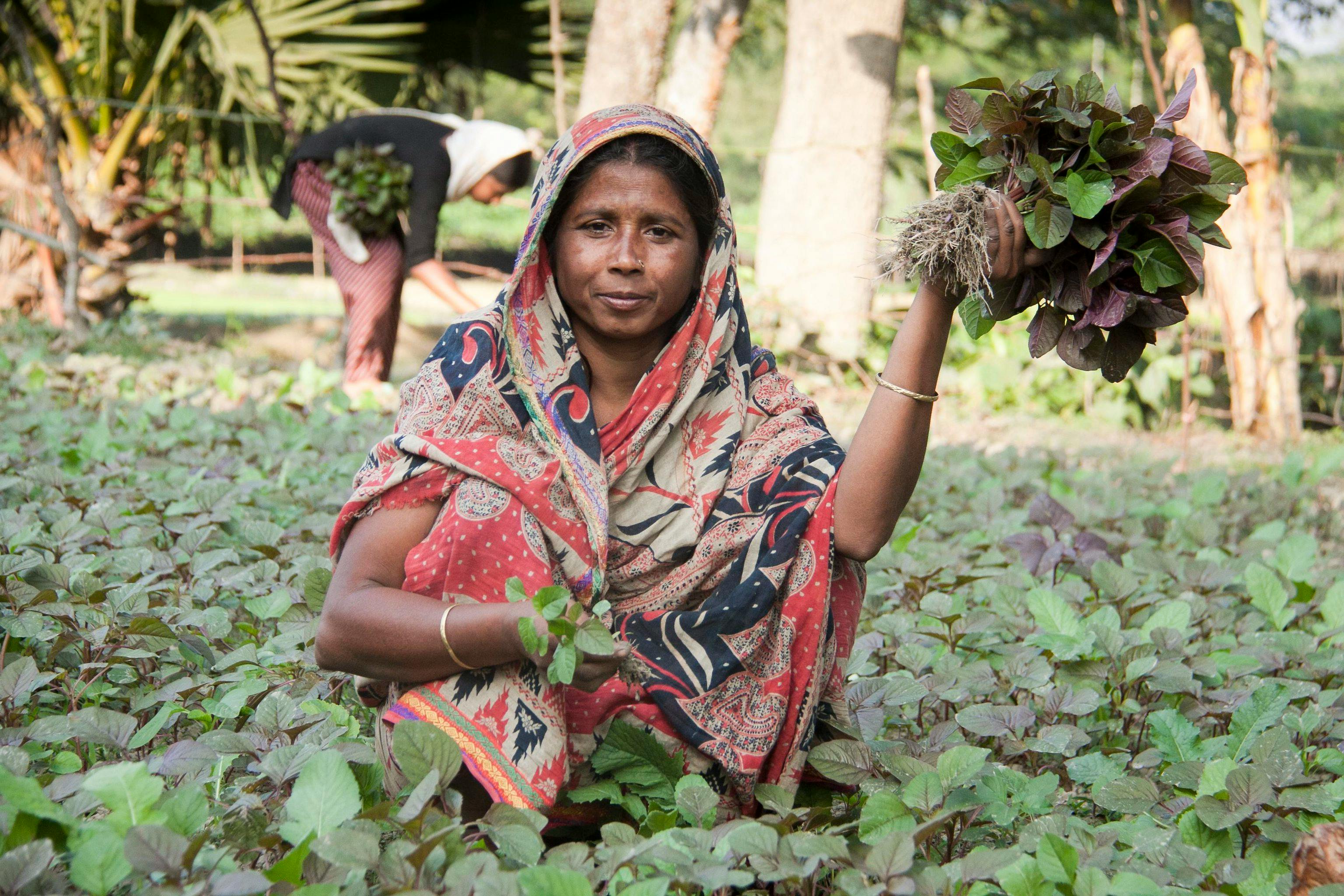 Reciprocal tariffs should exclude vulnerable developing countries: UN trade body