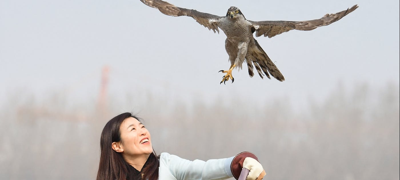 United Nations Environment Programme (UNEP)