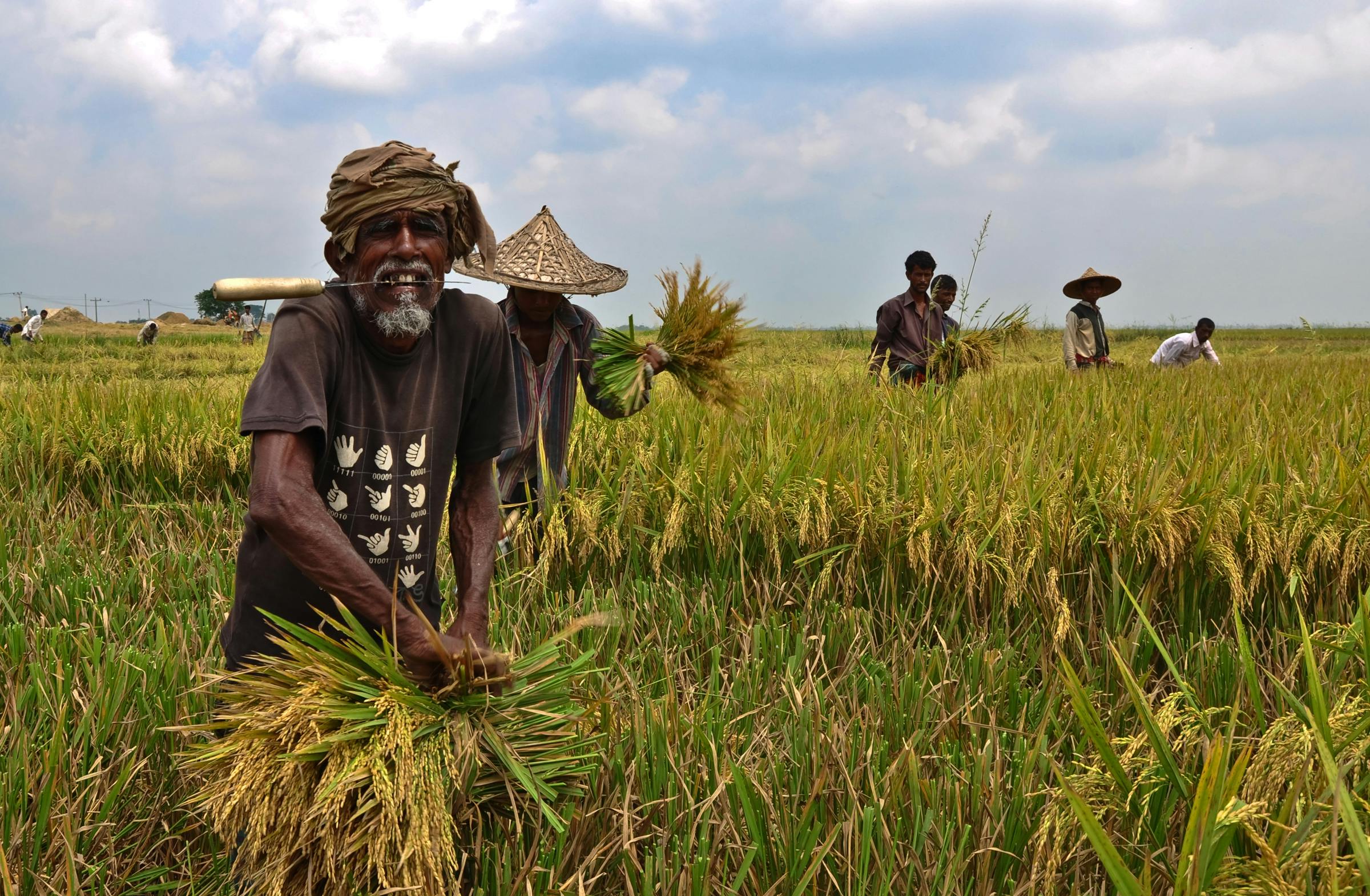 IFC, Singapore’s Agrocorp partner to improve food security in Bangladesh